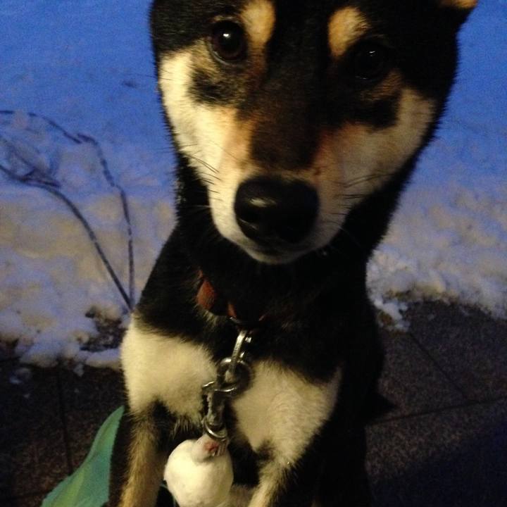 346a50c9 89e3 48c6 89e8 6818b652713f