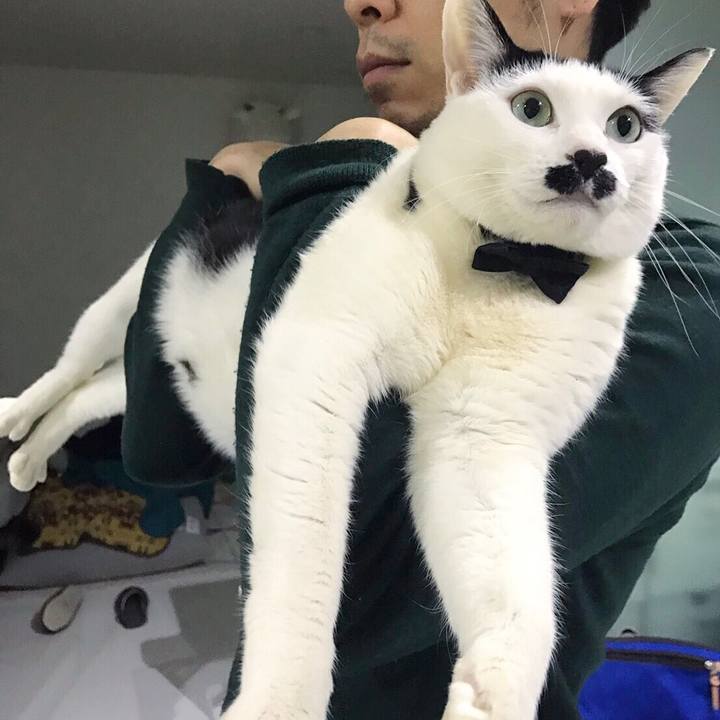 346a6158 42e1 4408 8d03 a5915f02cd19