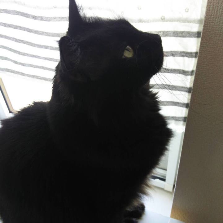 346aafe7 810c 4dda ab77 e59169f64047