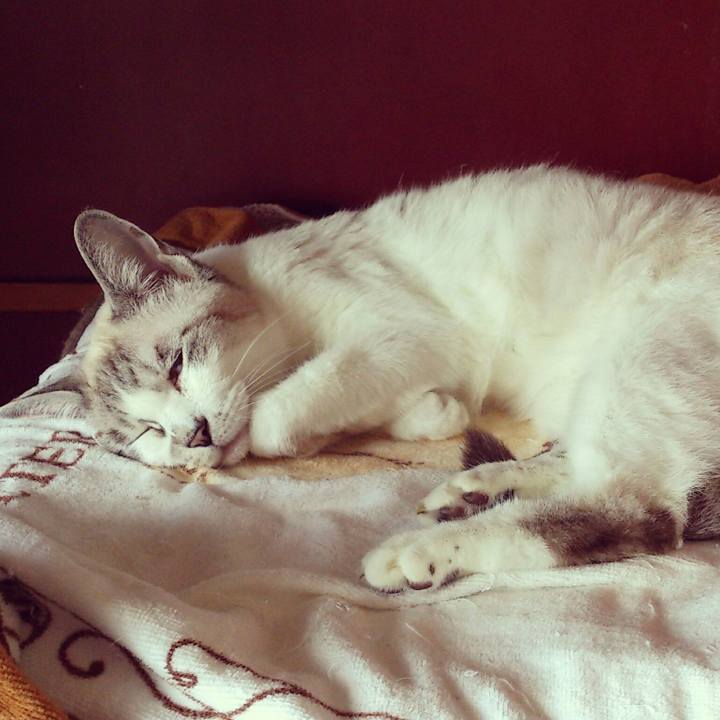 346b500a 7a8c 49d3 9b8b d4bc80217cf3