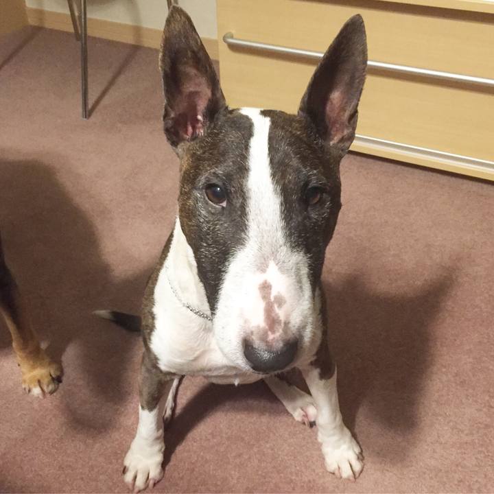 346b93df fcc9 4642 9785 6c49fd07c37e