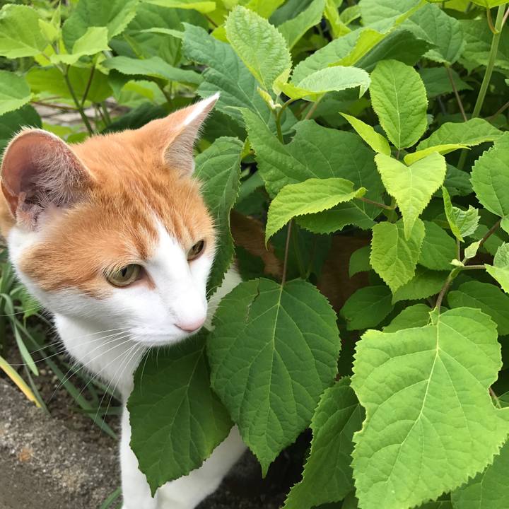 346bc29f 0944 4b3a b319 d281c027862d