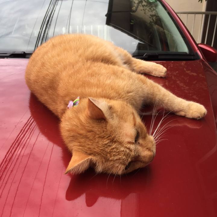 346d8a03 6bfb 4886 b52a 5ff018cfd7bf