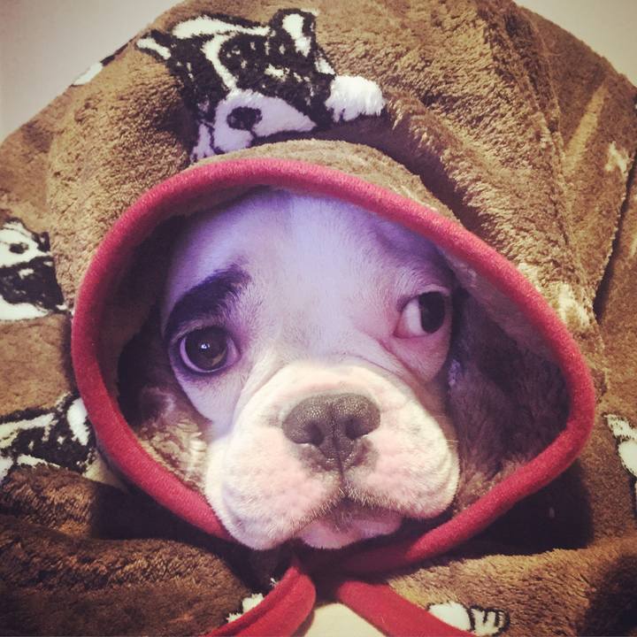 346e17fc af14 47b0 ba4c bd0e8439a0d0