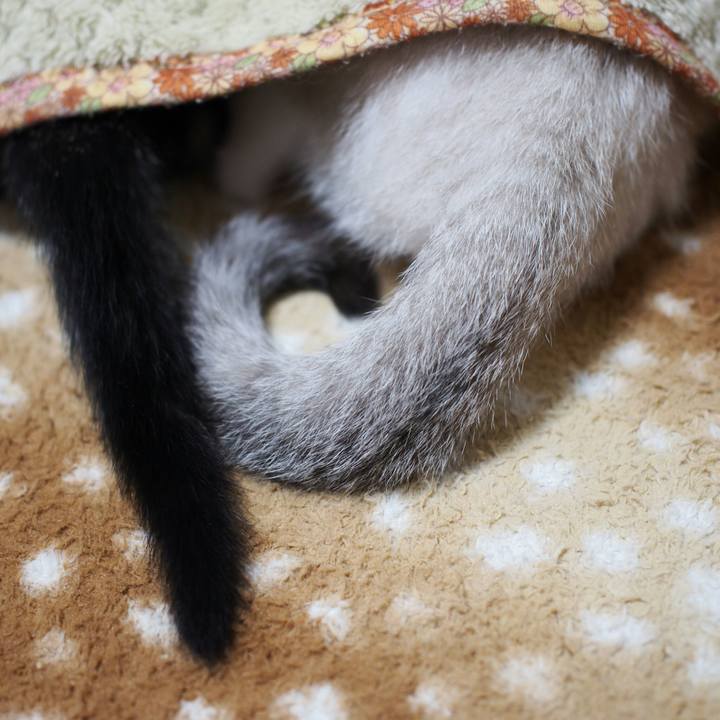 346e4ec9 eed3 4be0 97f7 f98634d2710d