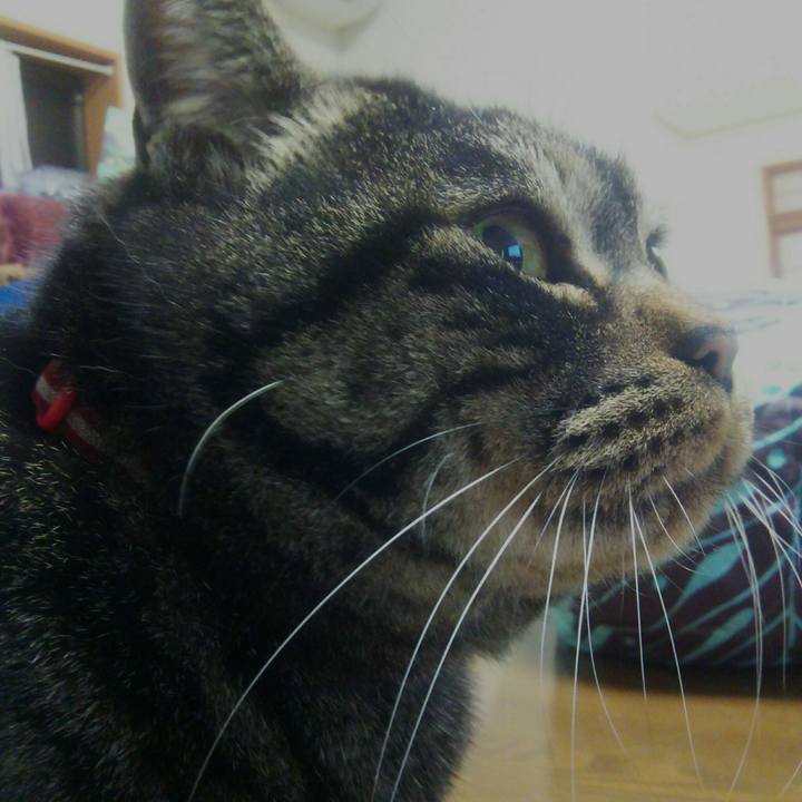 346fdc09 6899 4003 84de 56087f9d9c30