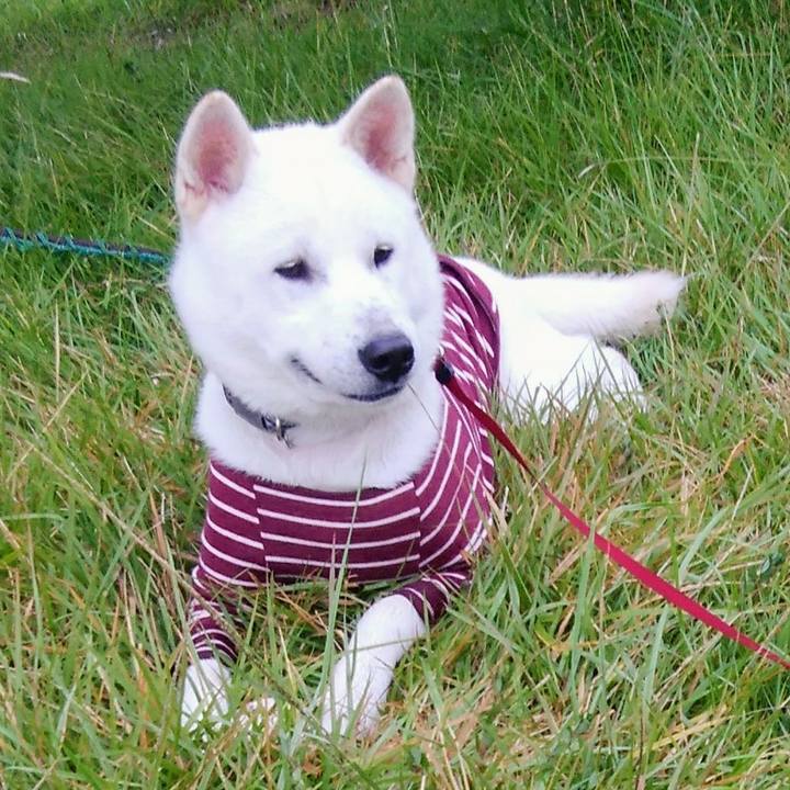 346fe183 d84f 409c 92d3 095e003013ab