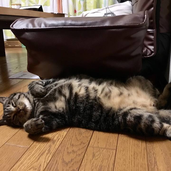 346fe338 3d06 47db a817 f5686265926a