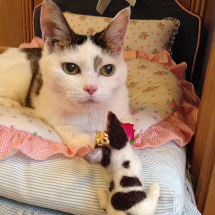 347027a6 3c2a 4cb4 b145 572bc7bb1fb4