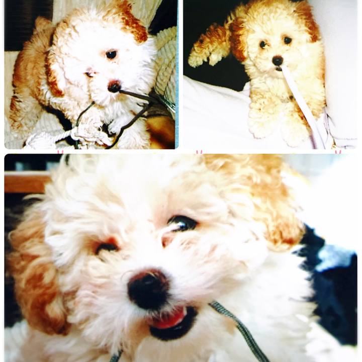 34704f8e c489 495d b832 5851379591e4