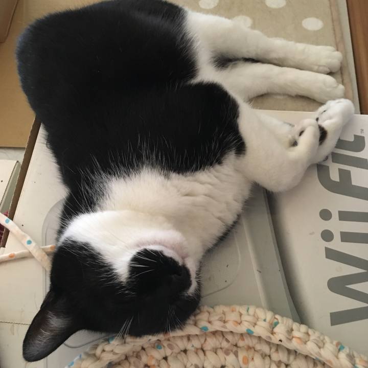 3470cd8c c588 46df 9f47 201947567e27