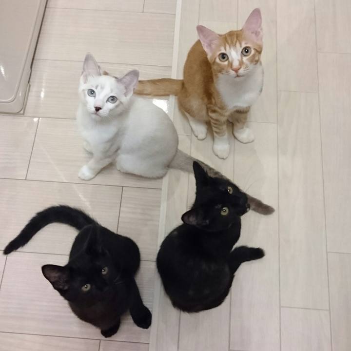 34720785 2060 4569 bac7 cf9e9f4f6c11