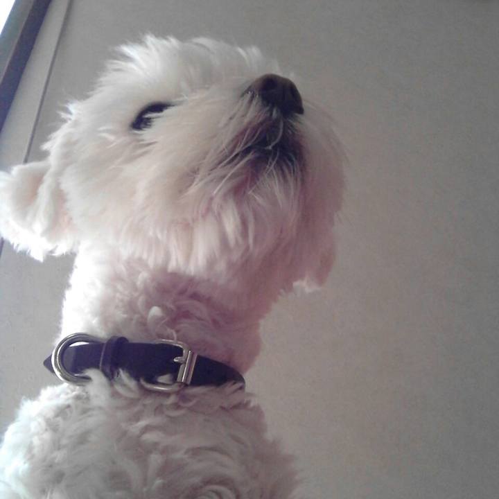 34722b8d 6112 476f 80bd 89faee0f7594