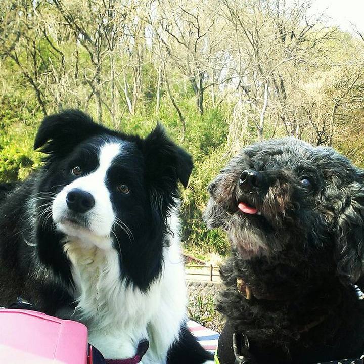 34722dd4 1f6f 4ecd b3c4 baf9b3c2f08a