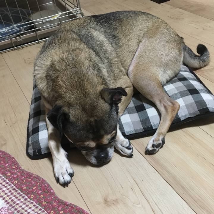 34724d64 8965 443a 822d cf471e64ba4a