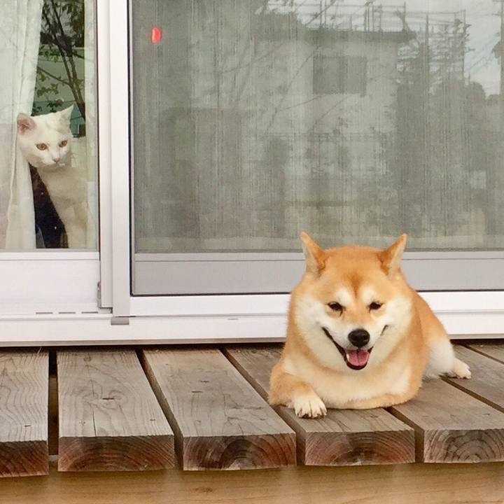 34725b2c 1650 4c82 9093 0fd430921b96