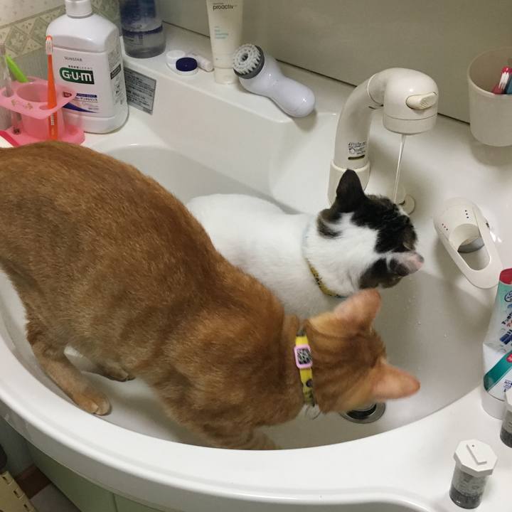 347279de 89a3 4506 a10b 54ed729984f1