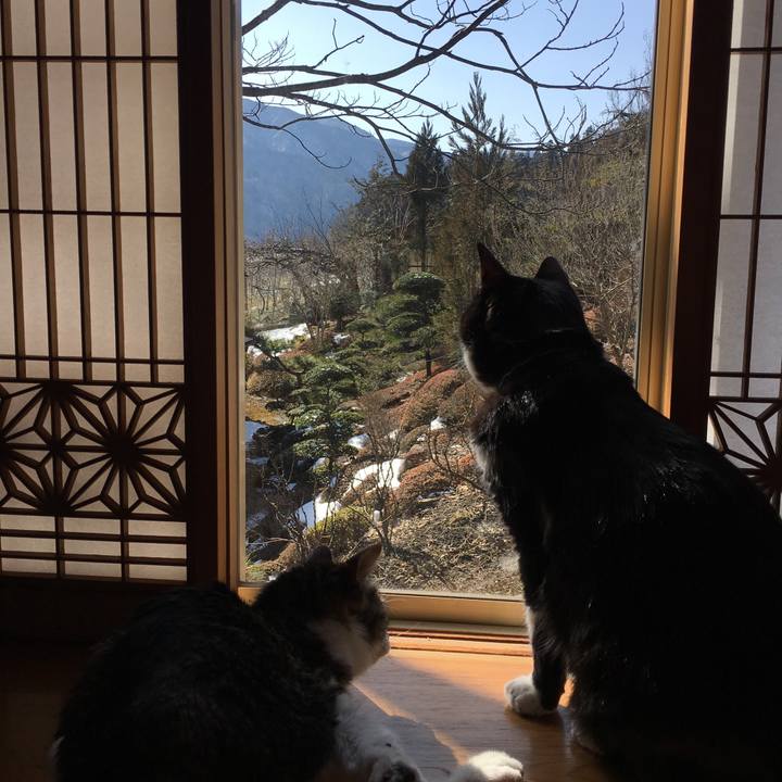 3472b849 80b8 4cd7 a9f9 7adc734b17ac