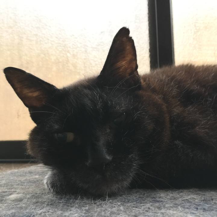 34730279 e95e 462f b380 7b082a24446f