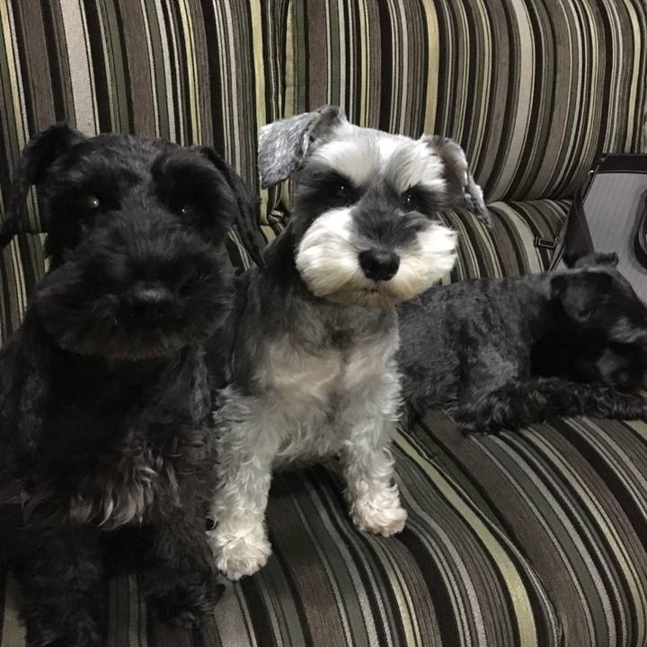 347364bf 54a4 48cd ab0b 72dd8abcca6f