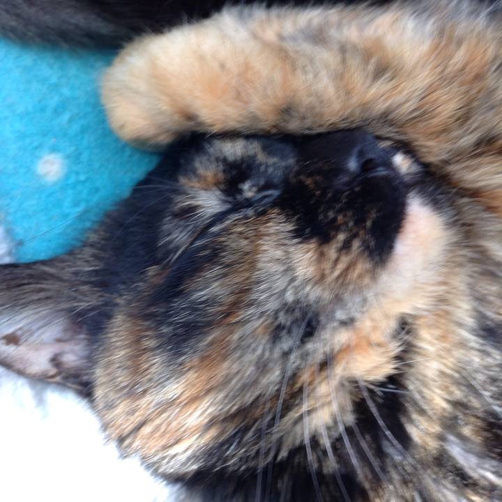 3473af64 acd8 4fa2 91c0 c7fdac17f219