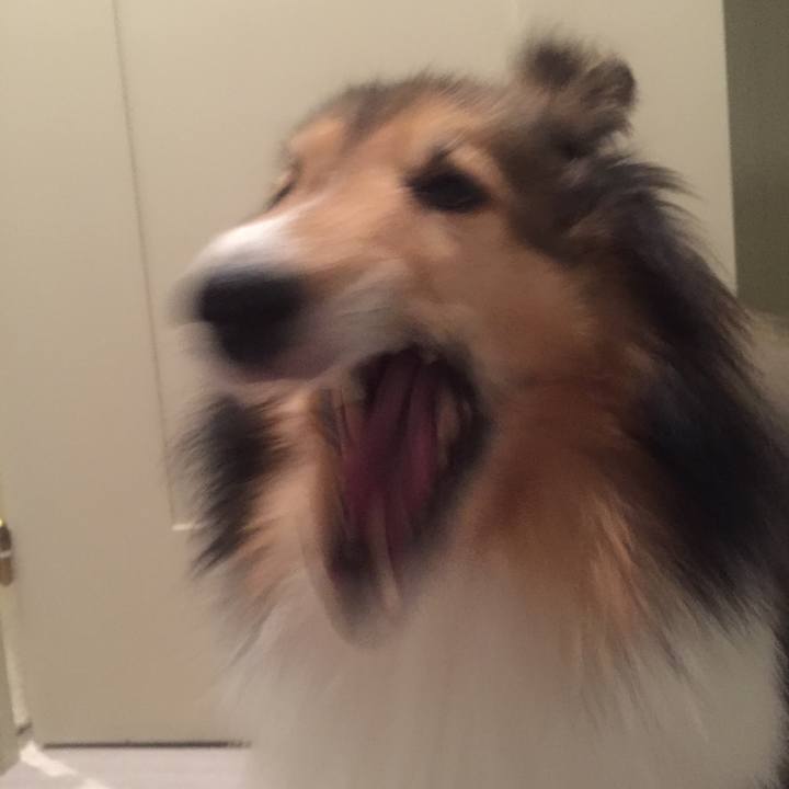 34742731 4fde 46d5 9368 1dd5cfa254c8