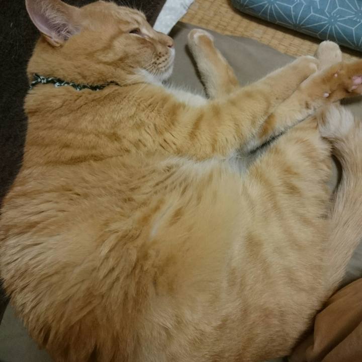 3474ea43 5e45 4cdc bf36 a3d6ebbab409