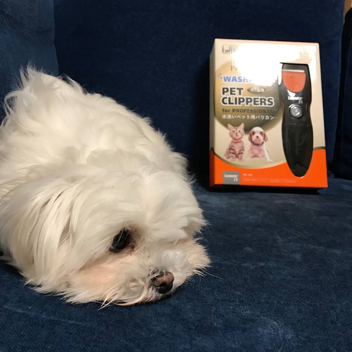 347548cf c268 4fb3 9b73 e7d04cc86451