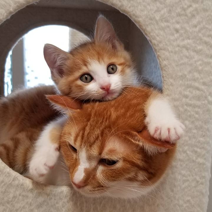 34761d90 fc97 49a7 99c5 b7f4f61b8686