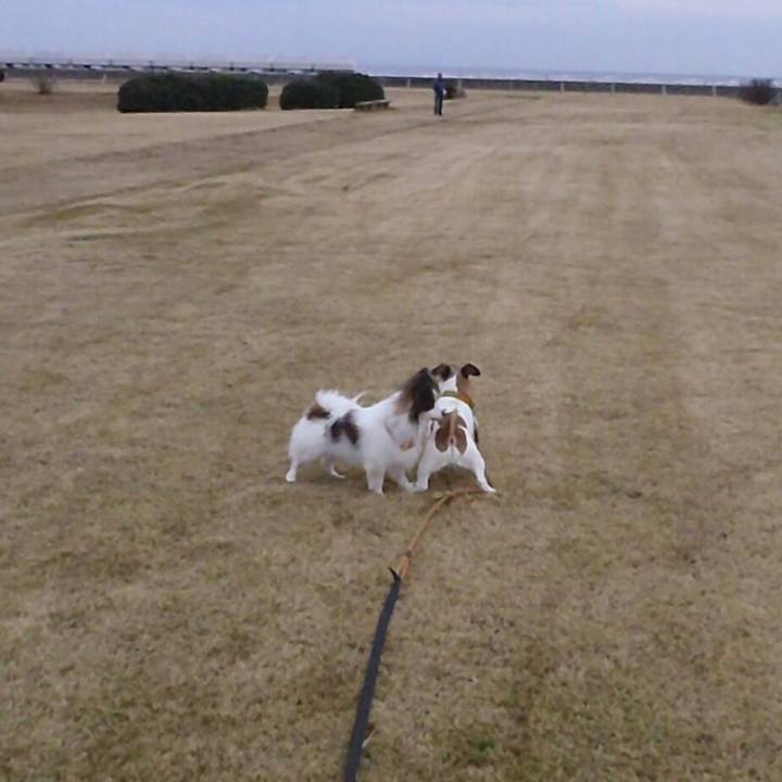 34767f07 225b 4d04 af93 1f225377763f