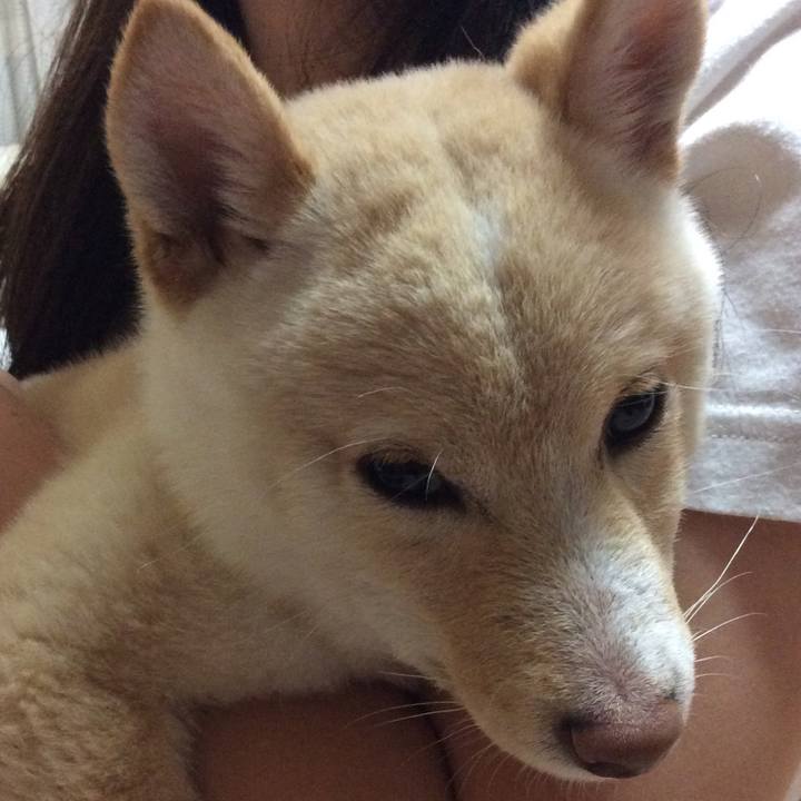 347697eb d2ce 42ef b00a ff0efb6be450