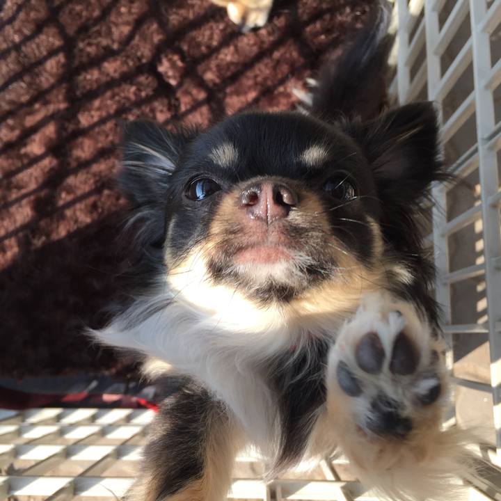 34774db1 53e4 45b3 ad78 37eee3ceb9f4