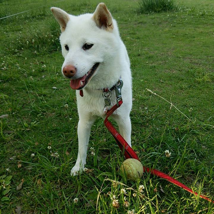 347750af ee4e 4b2b 927a 09c4eeb13166