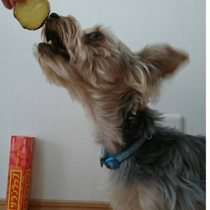 347873b2 f100 415b bf37 4185b325c344