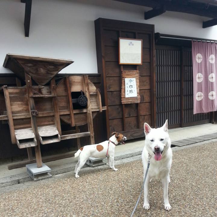 34787cd8 d5e0 4e52 bed8 9e748660ba04