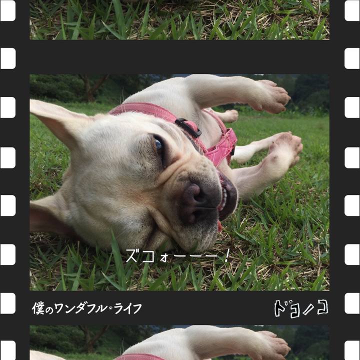 3479061b d46e 4161 bff0 08e133fa4e90