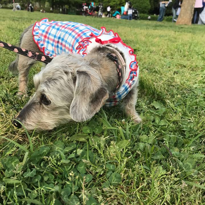 34791343 5318 4fd7 b7bb fbaaa217a0b0