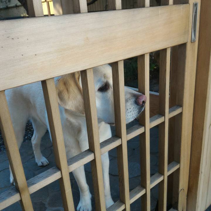 3479adf2 bf6d 4447 8461 bc2fb25f9df6