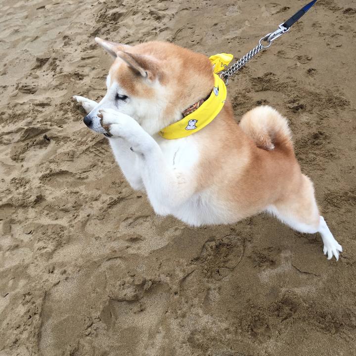 3479d9d8 69b0 4e5d 87c9 33d078d31e16