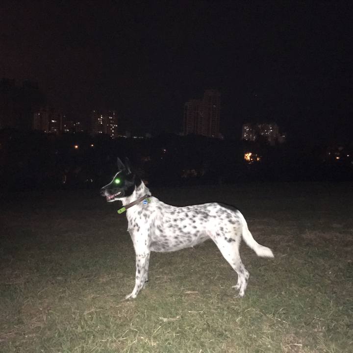 347a4266 4832 4bbd b462 43117f69a767