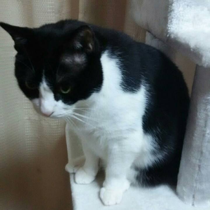 347abc53 612f 4898 b8ae 4cfa6cc9107f