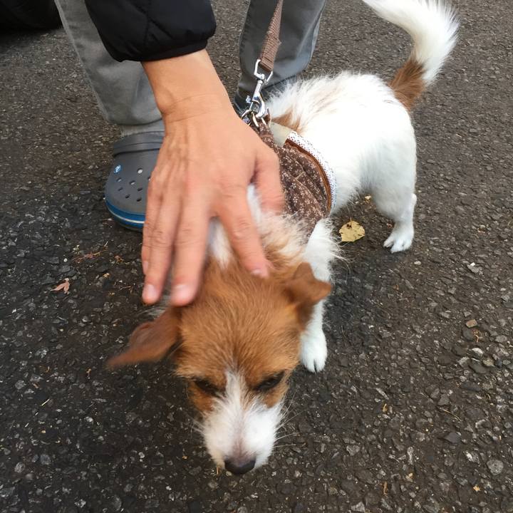 347bbde1 63ae 4dc7 9604 70c3e127d5de