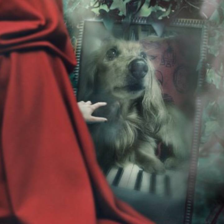 347c5f0a 01ef 45b0 bd48 3c72e2abbbbb