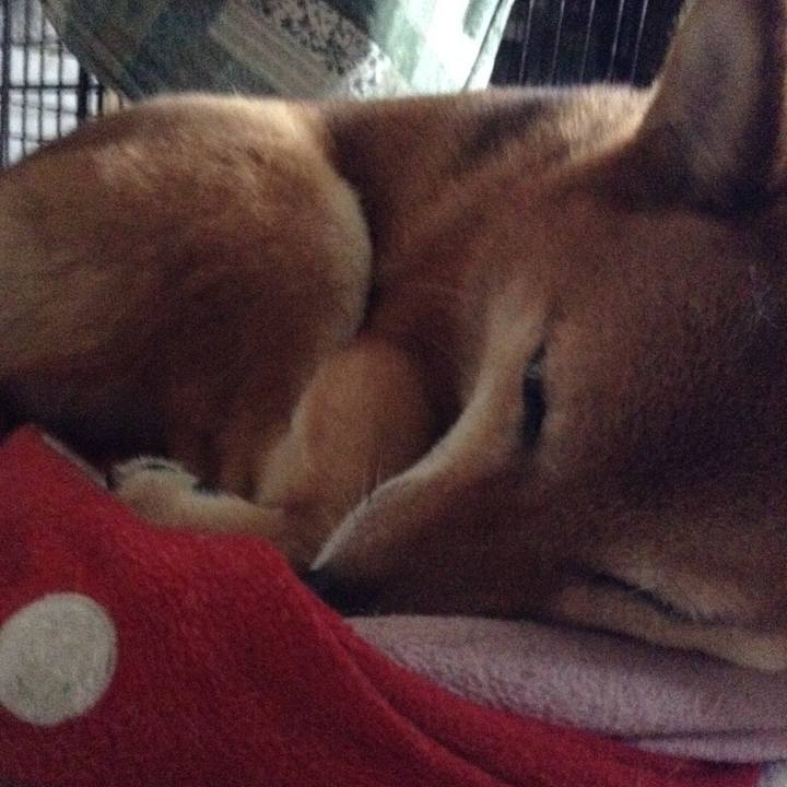 347d6017 21b8 4079 b7ac 392e245a8fab