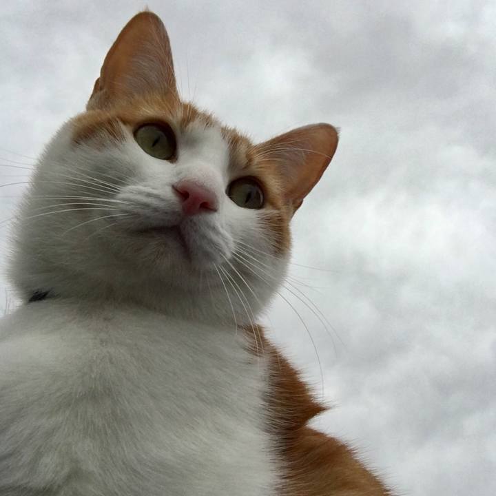 347dbf59 62a4 4f75 b3f1 b35edf8f0684