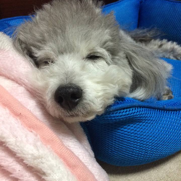 347e0a20 a681 4b98 a9fe 485fd6af8d82