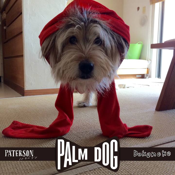 347e3f1e 637f 4bf8 8713 a86e7c5458e0