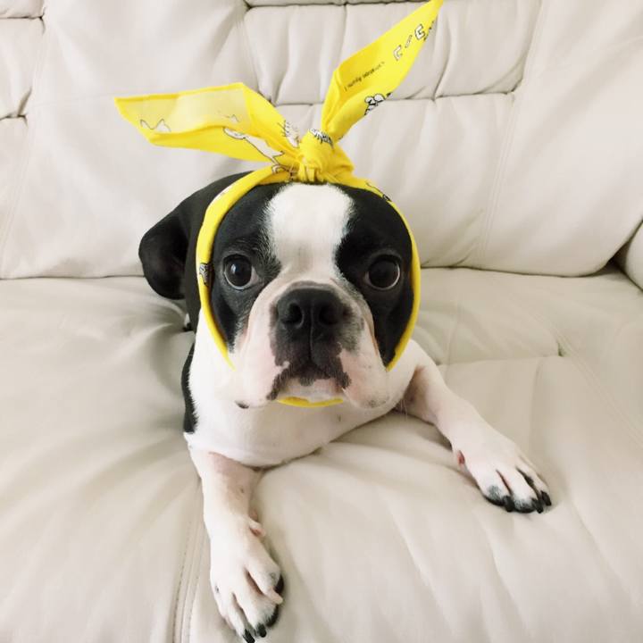 347ea70f 378f 464f bb2d f94a32194e3d