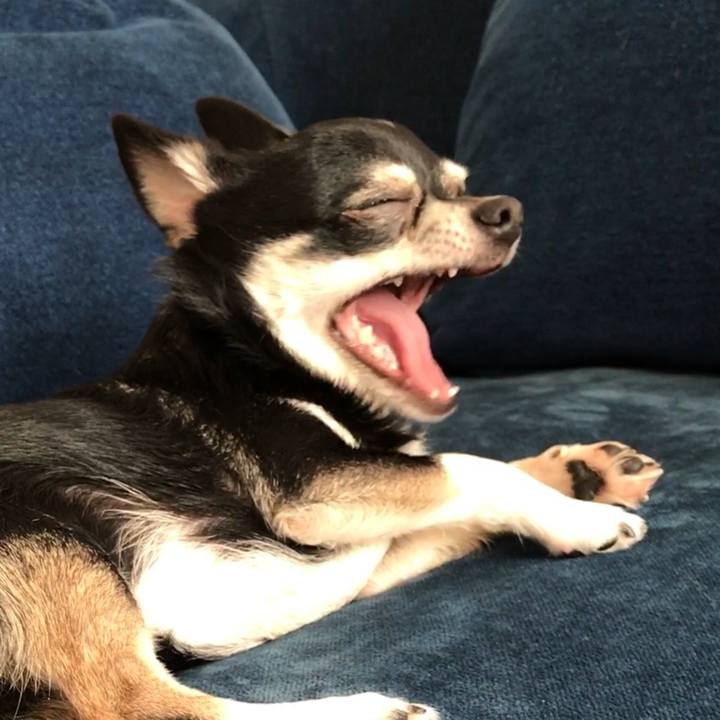 347ed7ad b4c0 41e9 8eb8 d01df04a4f73