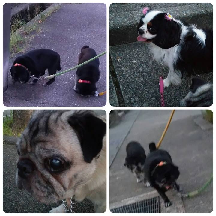 347efbd7 a8a6 4450 aecf 2d45b088b5f5